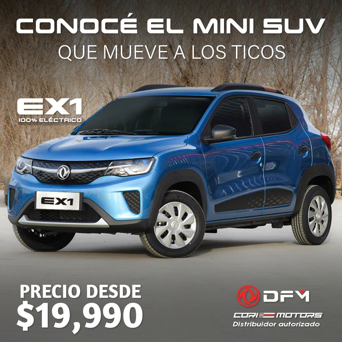 DFM DFM EX1 Ficha técnica de referencia