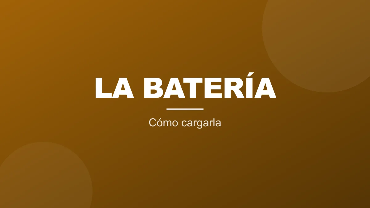 Cuidado de la batería: cómo cargar según tu versión (LFP o NMC)