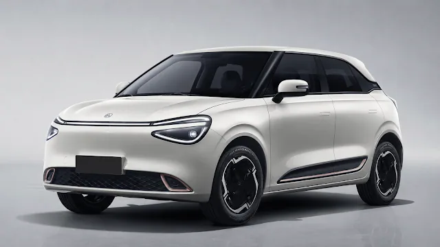 Dongfeng Nammi 330 31,4 kWh