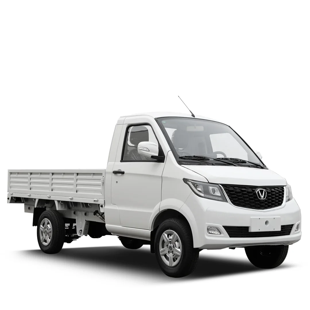 Victory Pick Up EV SCH1030D-BEV1
